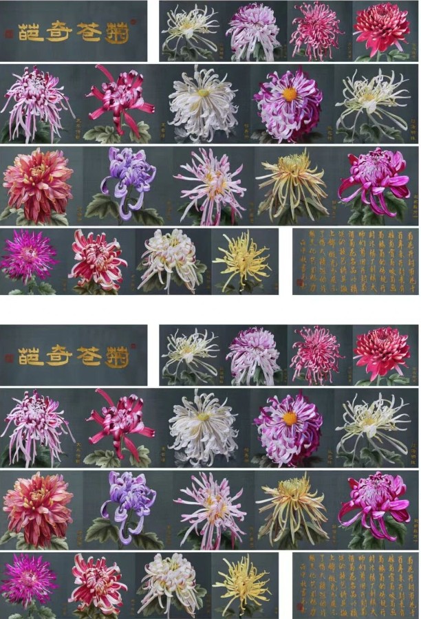 微信图片_2025-09-16_090825_442.jpg